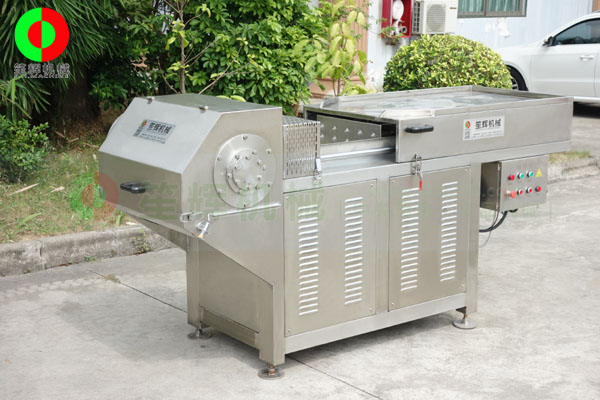 DR-P3000凍肉破碎機(jī)