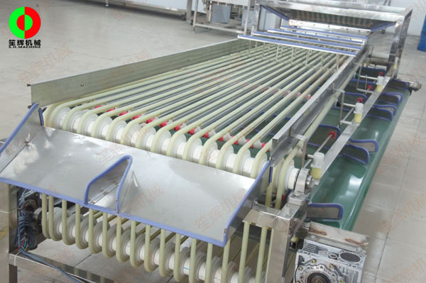 圣女果分級(jí)機(jī) 