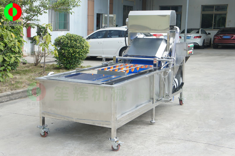 全網(wǎng)鏈輸送洗菜機