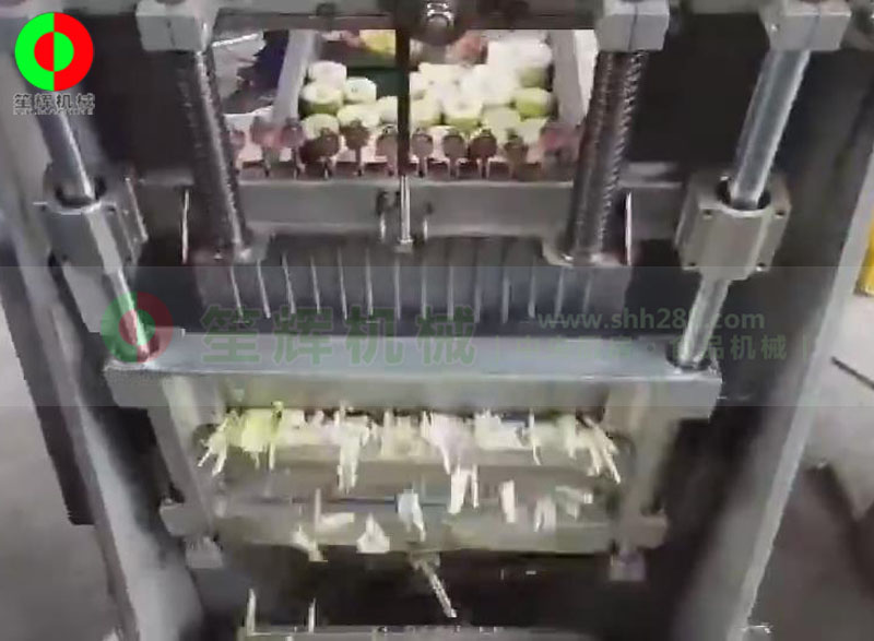 大型連續(xù)式切筍絲機(jī)