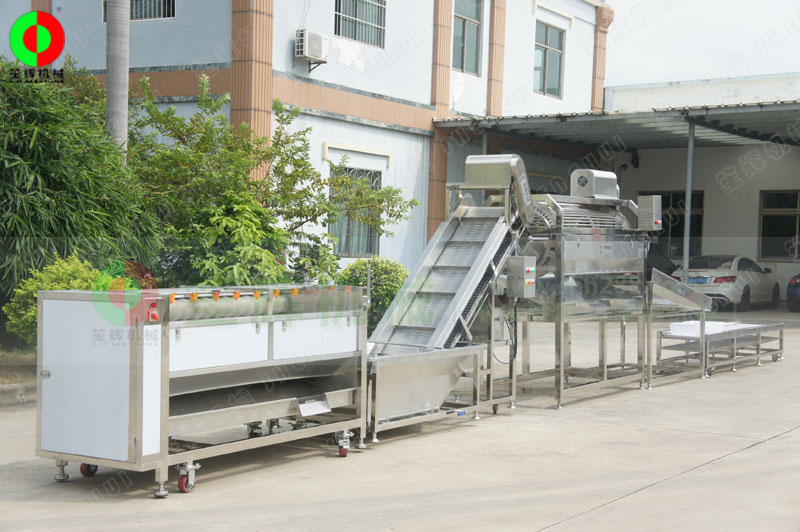 鯪魚加工生產(chǎn)線