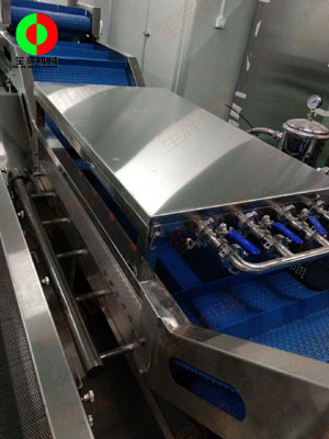 珠海市客戶蔬果無損清洗處理生產(chǎn)線現(xiàn)場