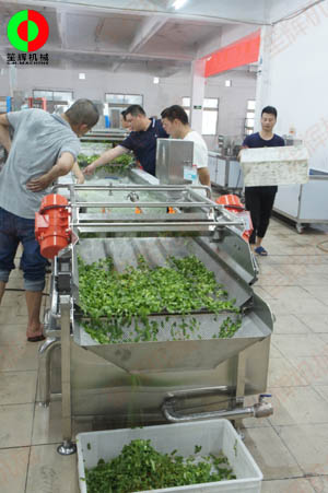 客戶(hù)親臨我司實(shí)地考察工廠及蔬果切割清洗生產(chǎn)線設(shè)備！