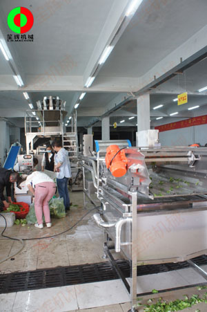 客戶自帶大批物料到我司測試蔬果處理設(shè)備后簽訂定購合同！