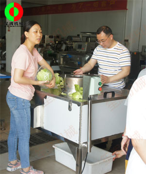 蔬果分瓣機現(xiàn)場測試，客戶滿意切割效果！