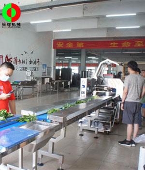 枕式蔬果包裝生產(chǎn)線,客戶現(xiàn)場(chǎng)測(cè)試驗(yàn)收！