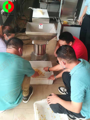 江門客戶謝先生親臨我司測試生姜清洗脫皮及打碎設(shè)備！