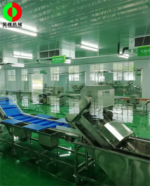 廣西蒙山標準化凈菜加工車間項目，毛菜加工車間順利完工！