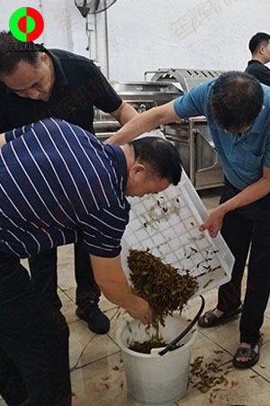 客戶(hù)來(lái)廠(chǎng)測(cè)試驗(yàn)貨果蔬清洗加工設(shè)備！