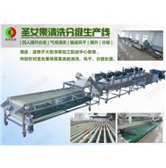 圣女果清洗風干分級生產(chǎn)線(視頻) 圣女果清洗風干分級生產(chǎn)線(視頻)