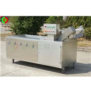 氣泡洗菜機(jī)/臭氧消毒洗菜機(jī) QX-22(視頻) 氣泡洗菜機(jī)/臭氧消毒洗菜機(jī) QX-22(視頻)