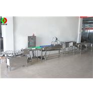 打蛋生產(chǎn)線/清洗、風(fēng)干、光檢、24頭打蛋生產(chǎn)線(視頻)