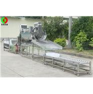 鯪魚(yú)加工生產(chǎn)線/豆豉鯪魚(yú)生產(chǎn)線/魚(yú)類(lèi)加工生產(chǎn)線